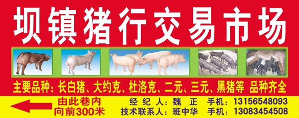 猪行广告牌