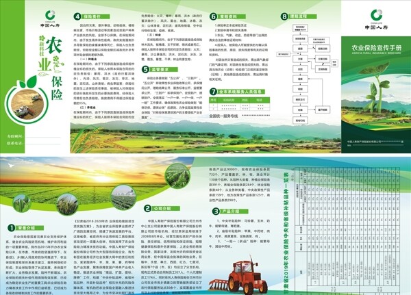 农业保险中国人寿矢量