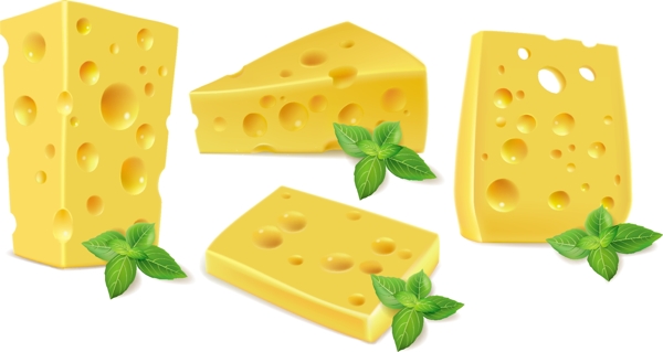 绿色的叶片设计矢量奶酪