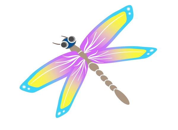 彩色昆虫蜻蜓
