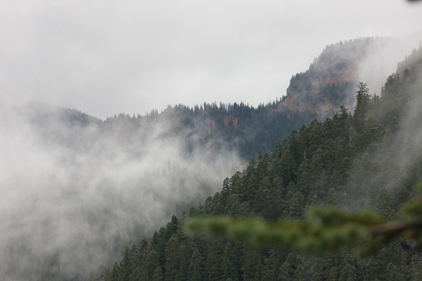 雾中绿山图片