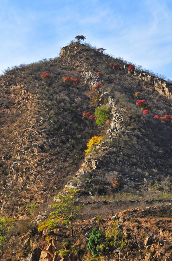 山林景色图片