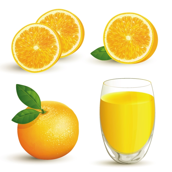 新鲜橙子与橙汁设计矢量图