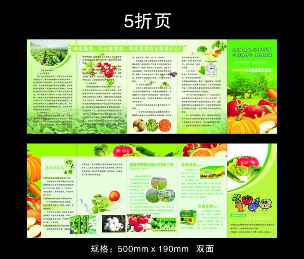 蔬菜折页图片