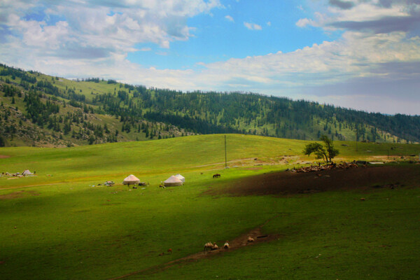 新疆喀纳斯之旅蓝天白云草地