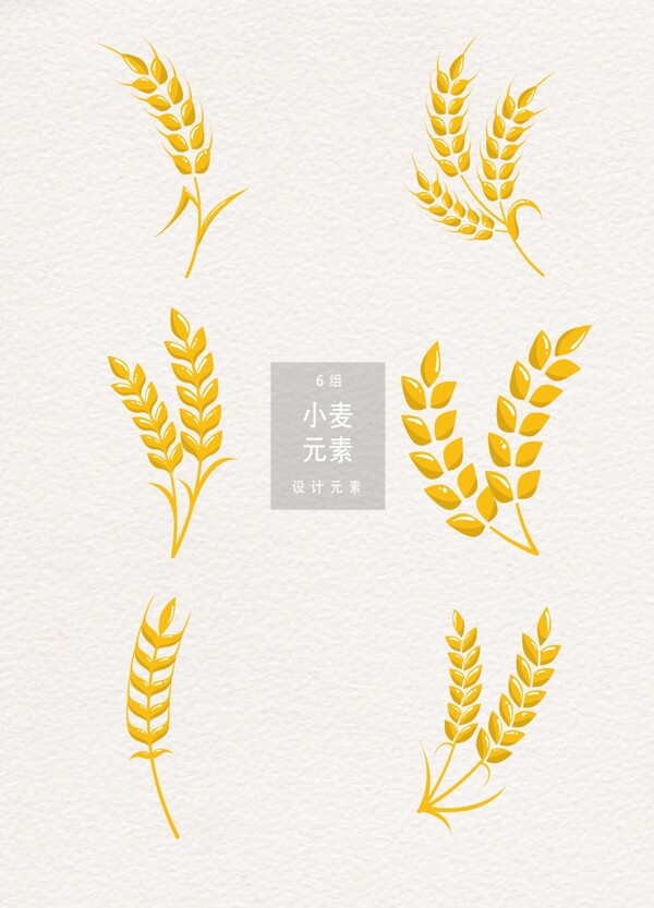 金色小麦设计元素