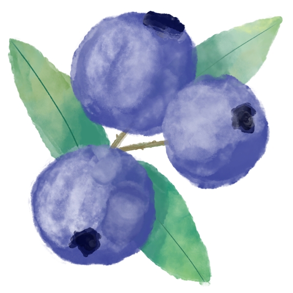 水彩风蓝莓