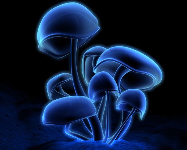 3D梦幻蘑菇
