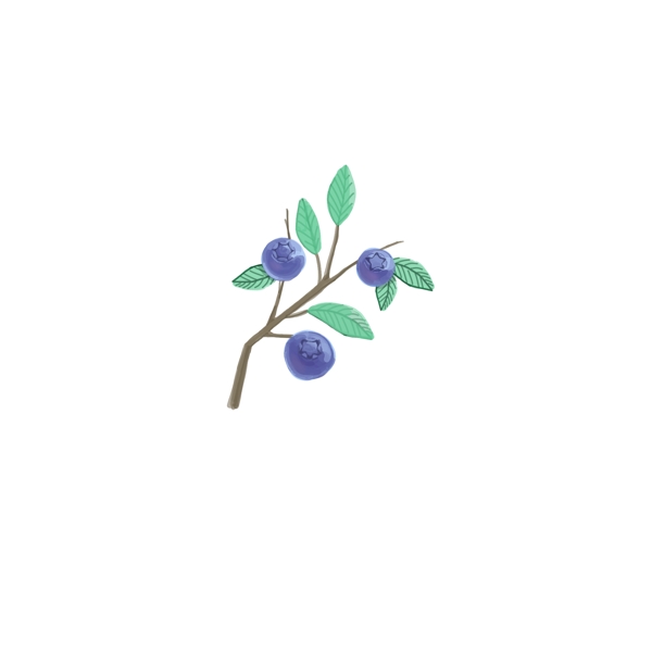 蓝色蓝莓