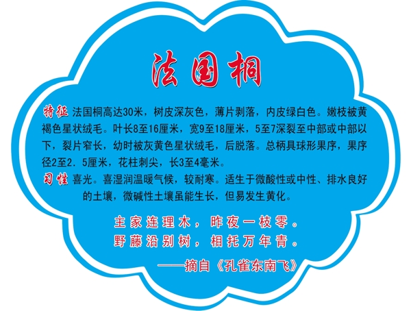 小树牌图片