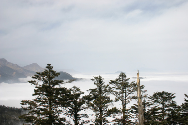 四川西岭雪山