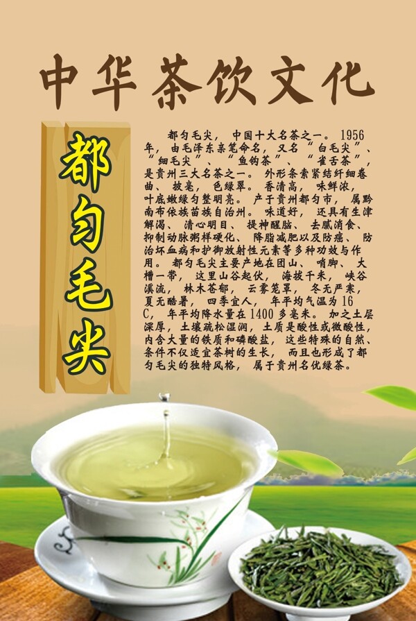 中华茶饮文化之都匀毛尖