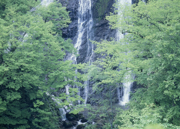 高山绿树瀑布景色图片