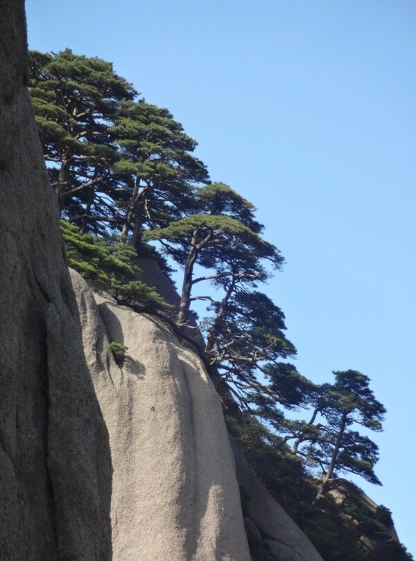 黄山风光