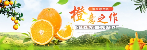 脐橙水果淘宝海报banner