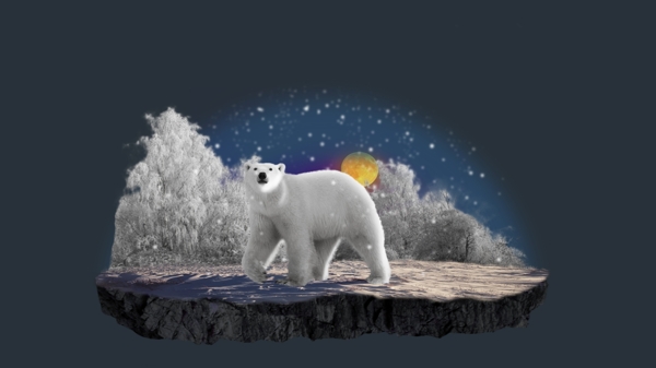 熊的梦幻装饰图案