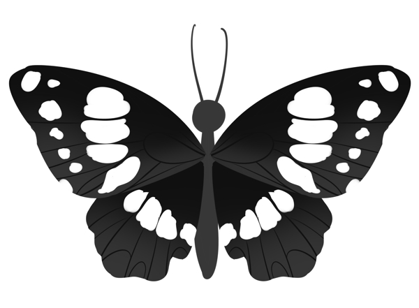 黑色蝴蝶