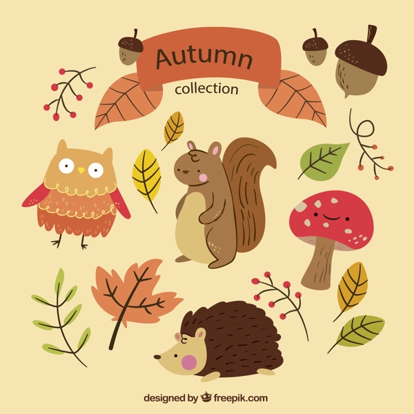 秋季叶子和动物图片