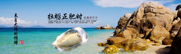 乳山牡蛎生蚝图片