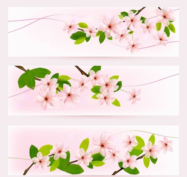 春天桃花鲜花背景图片