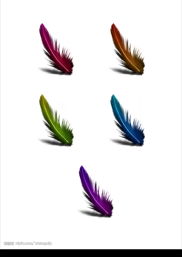 彩色羽毛系列图标此图为位图图片