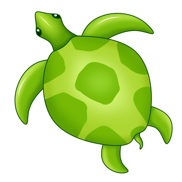 绿色乌龟水生