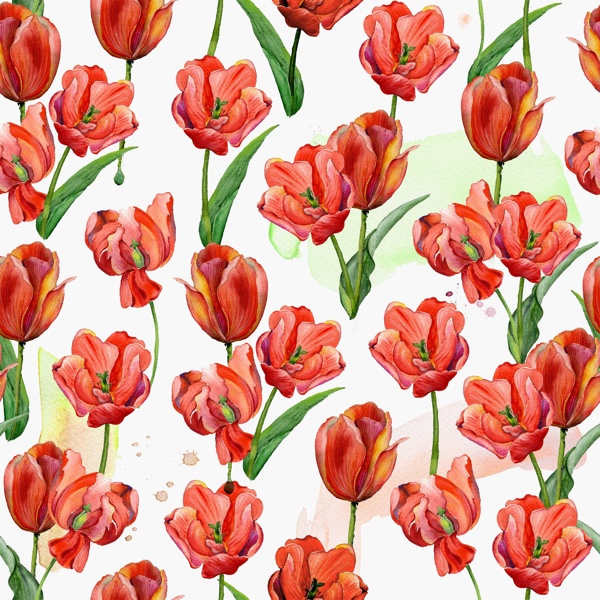 手绘红色郁金香花朵背景图jpg背景素材
