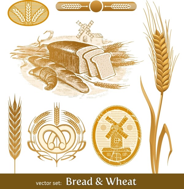 复古小麦食品手绘vi