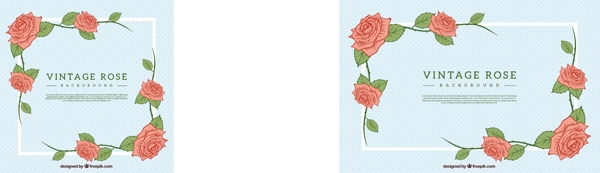 手绘玫瑰花架复古背景