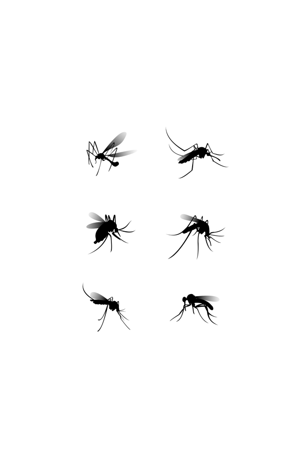 蚊子剪影
