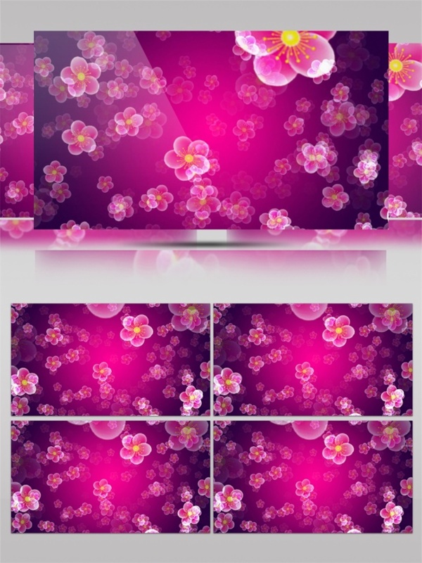 粉色花瓣视频素材
