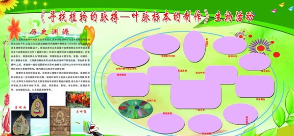 叶脉标本制作实施方案图片