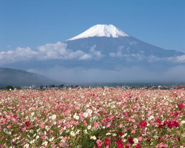 富士山图片