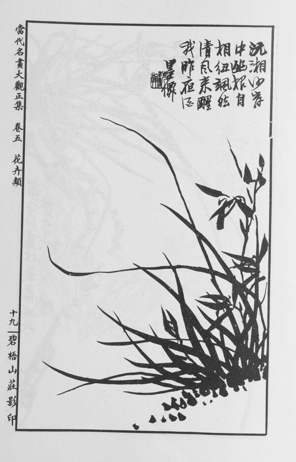 花卉画中国画当代名画大观正集30