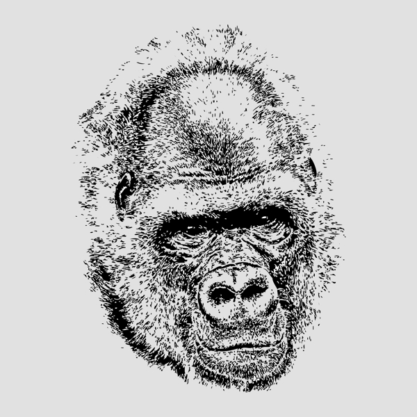 印花矢量图T恤图案动物猩猩色彩免费素材