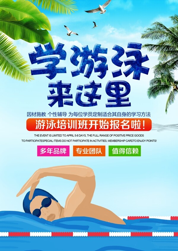 游泳馆培训海报游泳招生DM宣传单页设计