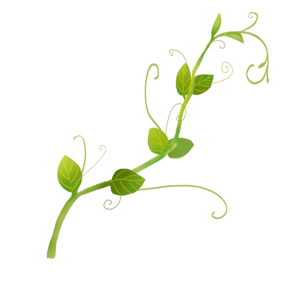 绿色植物藤蔓插画