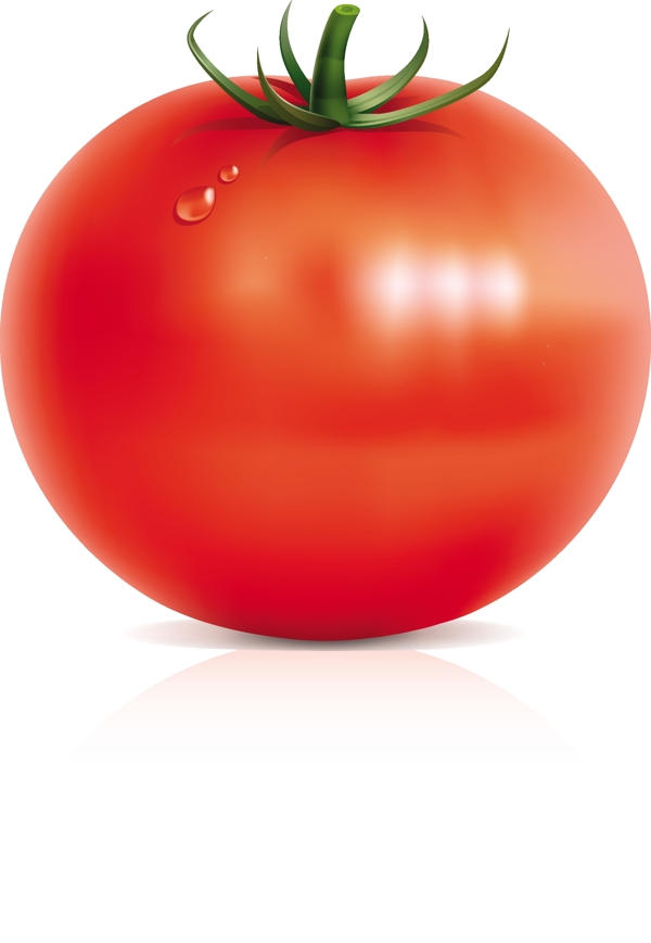 高精红色西红柿矢量图素材