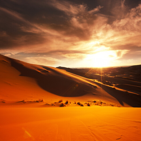 夕阳沙漠图片