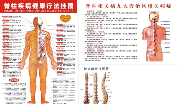 脊柱疾病健康疗法图解图片