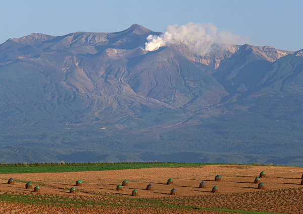 山川田野