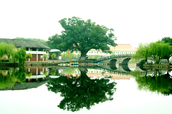 西湖风景图片