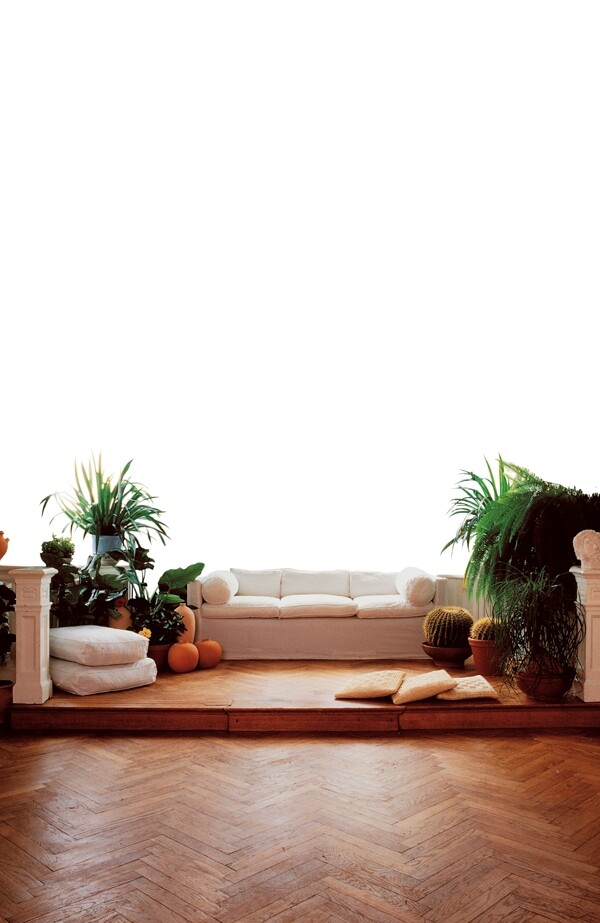 用于室内设计的沙发盆栽等图片