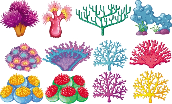 不同类型的珊瑚礁插图