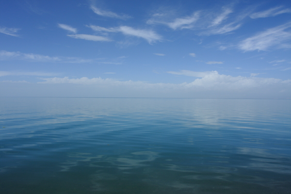 青海湖图片