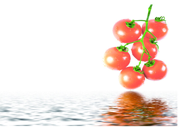 水中番茄西红柿图片