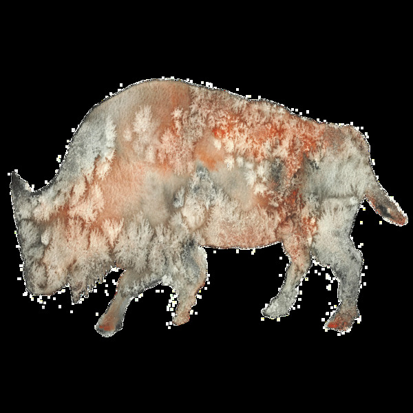 手绘水彩犀牛透明装饰图案