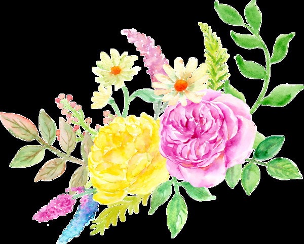 美丽多彩花卉卡通透明素材
