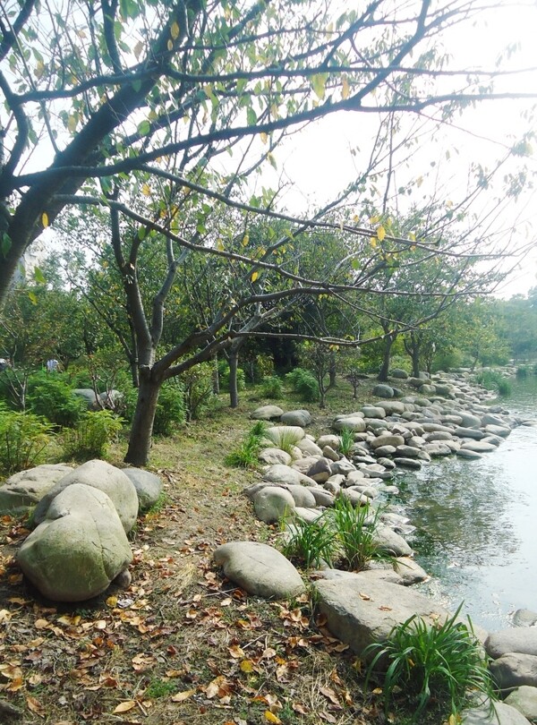 河边风景图片