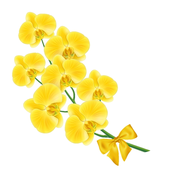 黄色的花设计